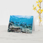 Carte Plages tropicales | Esturgeon Parmi le corail (Fleur jaune)