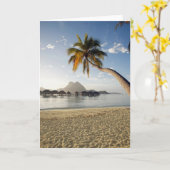 Carte Plages tropicales | Plages, Bora Bora (Fleur jaune)