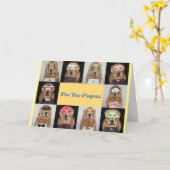 Carte Plaies de la Pâque d'or (Fleur jaune)