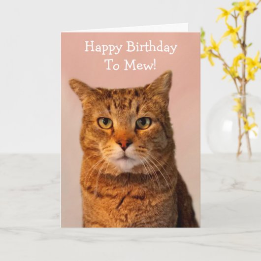 Carte Plaisanteries de chats amusantes Anniversaire (Fleur jaune)