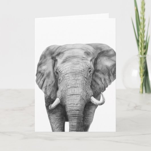 Carte Plan de sauvegarde IV (Devant)