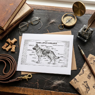 Carte Plan d'un chien berger allemand