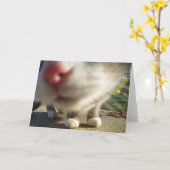 Carte plan rapproché de chat (Fleur jaune)