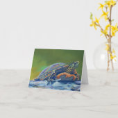 Carte plan rapproché de la tortue du contreseing (Fleur jaune)