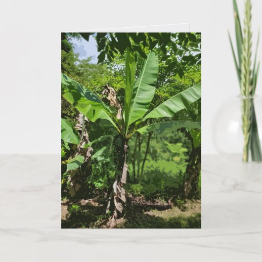 Carte Plantain (Devant)
