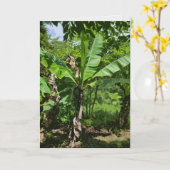 Carte Plantain (Fleur jaune)