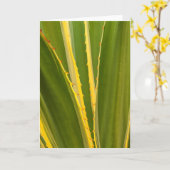 Carte Plante Agave Abstrait (Fleur jaune)