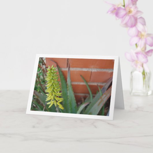 Carte Plante Aloe Vera avec tête de fleur (Orchidée)