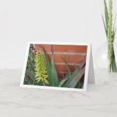 Carte Plante Aloe Vera avec tête de fleur (Devant)