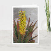Carte Plante Aloe Vera avec tête de fleur (Devant)