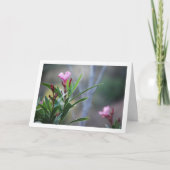 Carte Plante espagnol sauvage Nerium Oleander (Devant)