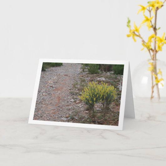 Carte Plante Fabale, Anthyllis Cytisoides (Fleur jaune)