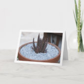 Carte Plante grasse Aloe Twilight Zone (Devant)