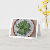 Carte Plante grasse dans un pot de terre cuite (Fleur jaune)