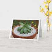 Carte Plante grasse dans un pot en terre cuite (Fleur jaune)
