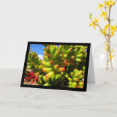 Carte Plante grasse Jelly Bean (Fleur jaune)