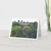 Carte Plante méditerranéen de Buckthorn, Rhamnus Alatern (Devant)