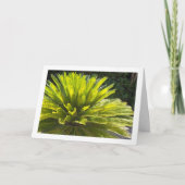 Carte Plante Sago Palm (Devant)