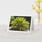 Carte Plante Sago Palm (Fleur jaune)