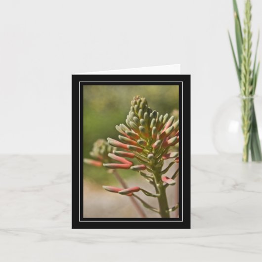 Carte Plante Tropical (Devant)