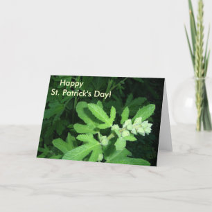 Carte Plante vert de la Saint-Patrick
