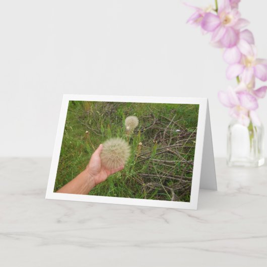 Carte Plantes de Salsify occidental (Orchidée)