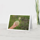 Carte Plantes de Salsify occidental (Devant)