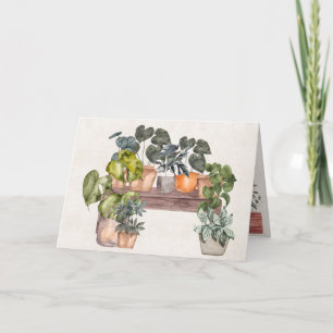 Carte Plantes en pot d'anniversaire sur un banc