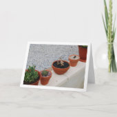 Carte Plantes grasses sur portrait de mur de jardin (Devant)