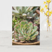 Carte plantes succulents à l'anniversaire en pot (Fleur jaune)