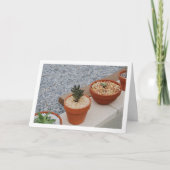 Carte Plantes succulents sur le portrait de mur de jardi (Devant)