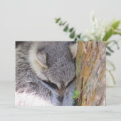 Carte plat couchage jeune Raccoon (Debout devant)