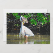 Carte Plat déjeuner Great Blue Heron (Devant)
