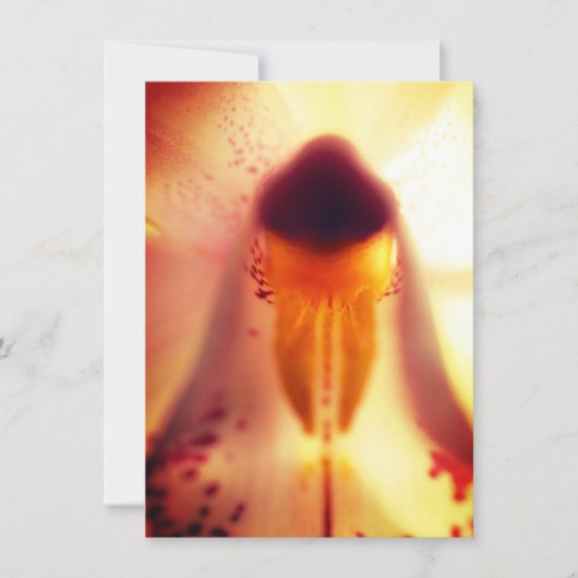 Carte Plat Design Floral (Devant)