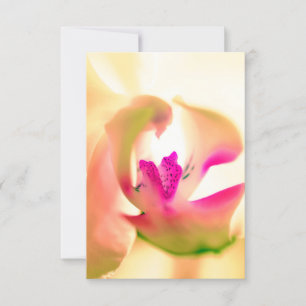 Carte Plat Design Orchidée apaisante