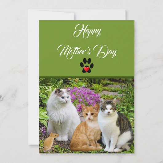 Carte Plat du Chat Happy Mother's Day (Devant)