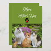 Carte Plat du Chat Happy Mother's Day (Devant / Derrière)