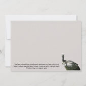 Carte Plat du vautour du cap Griffon (Dos)