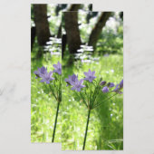 Carte Plat Fleur sauvage violet (Devant / Derrière)