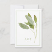 Carte plat FREGE SAGE 3.5x5 (Devant)