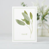 Carte plat FREGE SAGE 3.5x5 (Debout devant)
