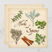 Carte plat Herbes et épices (Devant / Derrière)