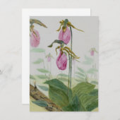 Carte Plat Lady Slippers (Devant / Derrière)