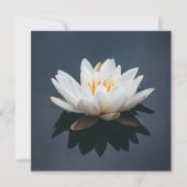 CARTE PLAT : LOTUS (Devant)