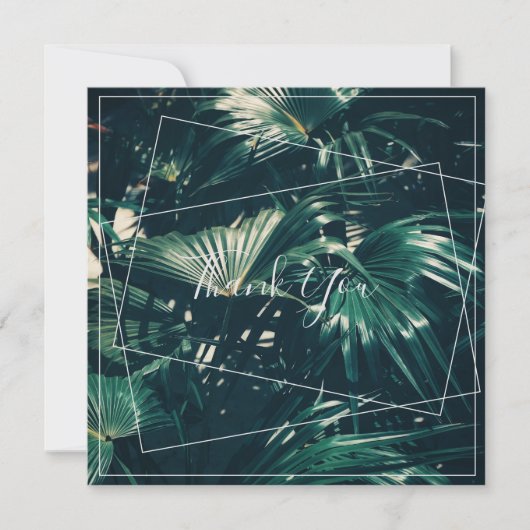 Carte Plat Pale Green Palm Tree Leaf Merci (Devant)