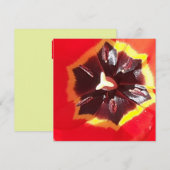 Carte Plat Scarlet Red Tulip (Devant / Derrière)