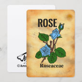 Carte plate à motif de rose bleue sur fond de papi (Devant / Derrière)