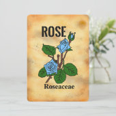 Carte plate à motif de rose bleue sur fond de papi (Debout devant)