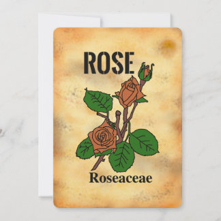Carte plate à motif de rose orange dans le style d
