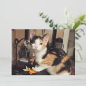 Carte plate Chat Calico avec Poisson Cadeau pour V (Debout devant)